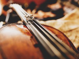 Cellofest Ljubljana, praznik violončelistov in violončela