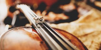 Cellofest Ljubljana, praznik violončelistov in violončela