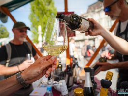 Martinovanje 2025 – kam se letos odpraviti na najboljša martinovanja po Sloveniji?