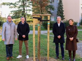 Gremo! zeleno: posadili 60 novih dreves za 60 let Krajevne skupnosti Nova Gorica