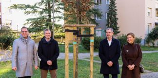 Gremo! zeleno: posadili 60 novih dreves za 60 let Krajevne skupnosti Nova Gorica