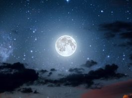 Polna luna v letu 2025