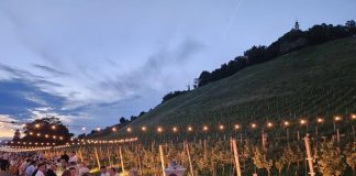 The Best Gastronomic festivals & events in Slovenia