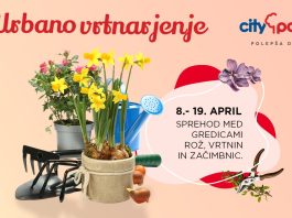 Vas zanima kako pravilno vrtnariti?