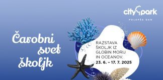 Čarobni svet školjk – razstava, ki v Citypark prinaša skrivnosti morja