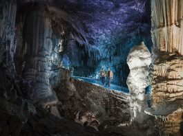 Discover Postojna Cave: Slovenia’s Most Iconic Underground Wonder