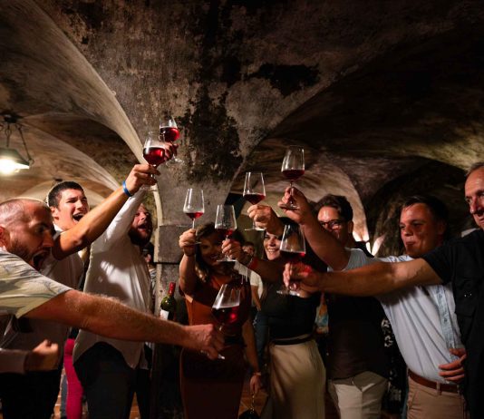 Festival Best wines of Posavje 2025: petič dokazal moč prijateljstva in vina