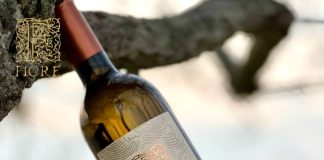 Fiore – Istrian Wine with Soul, Away from the Crowds
