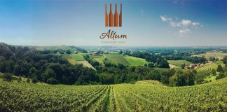 Vinska klet tedna: vina Altum