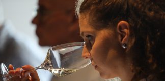 DOGODEK SPOZNAJTE VINORODNO ŠTAJERSKO