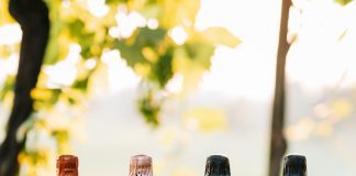 Winery of the Week: Martinčič Wines