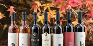 Vinska klet tedna: Vina Kunej – tradicija, ki povezuje vino in čokolado