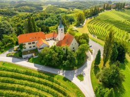 Vikend med vinogradi – jesenski pobeg v Jeruzalem