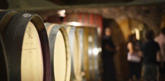 Winery of the Week: PRI STARČIH – TAVČAR