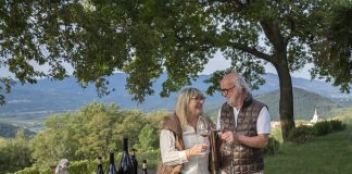 Vinska klet tedna: Vina Svetlik