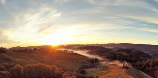 Vinska klet tedna: Vinarstvo Gaube