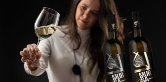 Winery of the Week: Klet MARO – Reviving the Centuries-Old Mursa Family Winemaking Legacy