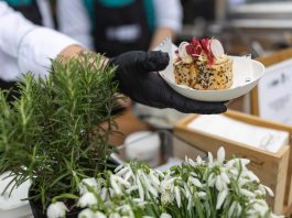 Jubilejni 10. Gourmet Cup Ljubljana združil več kot 1.000 obiskovalcev