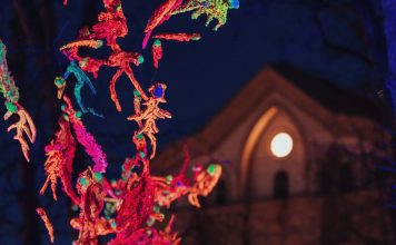 LUV Fest – Love, Art, and Wandering through Ljubljana