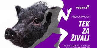 Tek za živali 2026