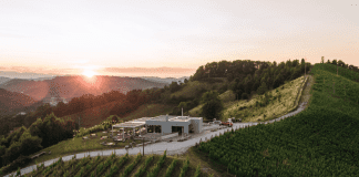 Vinska klet tedna: Doppler