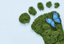 Eko turizem v Termah Snovik Eko turizem v Termah Snovik