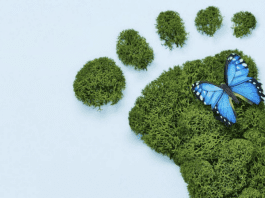 Eko turizem v Termah Snovik Eko turizem v Termah Snovik