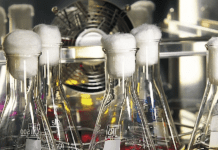 LOTRIČ Metrology: preskušanje na področju kemije Preizkušanje na področju kemije - Lotrič