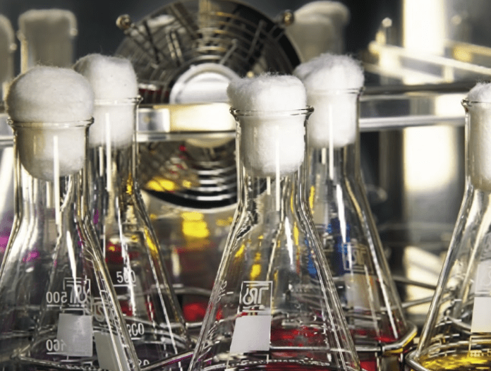 Preizkušanje na področju kemije - Lotrič