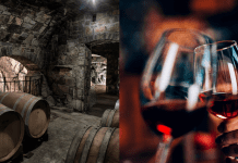 Vinska klet tedna: Vina Poljšak