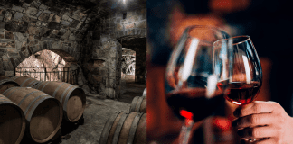 Vinska klet tedna: Vina Poljšak