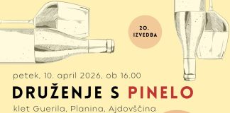 Druženje s pinelo 2026 je v Vipavi znova navdušilo ljubitelje vina