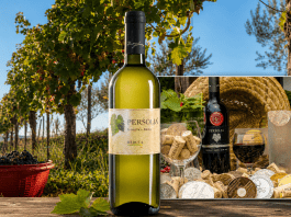 Vinska klet tedna: Vina Peršolja