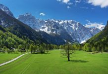 Logarska valley – Solčava region