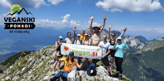 71. Veganski Pohod za Vsakogar – Veliki vrh na Košuti (2088 m)