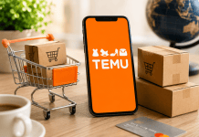 TEMU: Kako se izogniti EU carinam?