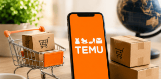 TEMU: Kako se izogniti EU carinam?