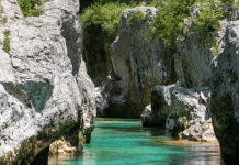 Day Tour from Ljubljana: See the Best of Slovenia