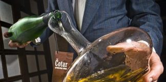 Wine Cellar of the Week: Čotar – With the Signature of the Karst