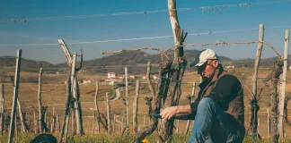 Winery of the Week: Jakončič – A Brda Story Carried into the World by Rebula