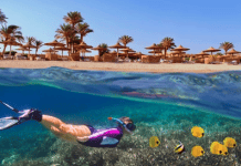 Sharm el Sheikh: koliko različnih počitnic lahko spravimo v en teden? Potapljanje v Sharm el Sheikh