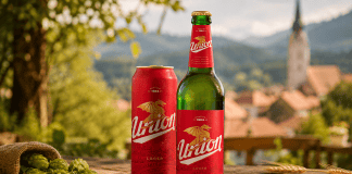 Best Beer in Slovenia: A Guide to Slovenian Beer, Breweries and What to Try
