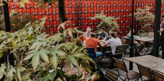 Union Beer: Discover the Taste and Brewing Heritage of Ljubljana
