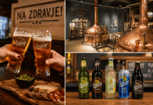 Beer in Slovenian: Essential Beer Words and Phrases for Your Trip to Slovenia