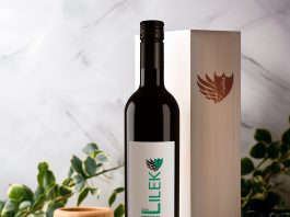 Vinska klet tedna: Vino Lilek – vinska zgodba iz Šentilja