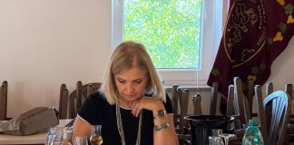 4. Mednarodni festival žganih pijač v Rogaški Slatini bo predstavil najboljše iz sveta žganjekuhe