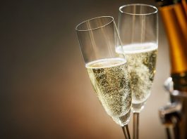 Vinska klet tedna: Kušter – vina s tradicijo s Svečine