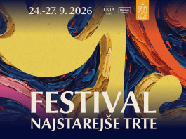 Festival Najstarejše trte 2026: Maribor praznuje jubilejno 40. trgatev Guinnessove rekorderke