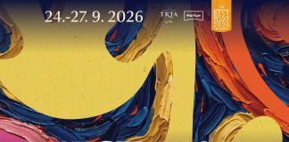 Festival Najstarejše trte 2026: Maribor praznuje jubilejno 40. trgatev Guinnessove rekorderke
