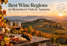 Best Wine Regions in Slovenia to Visit in Autumn